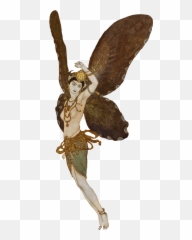 Anatomy Of - Fairy Wing Anatomy Emoji,Grimm Fairy Tale Monsters That Affect People's Emotions