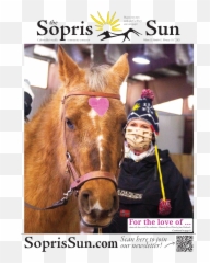 Dogs And Goats - Halter Emoji,Emotion Horse Rider Metaphor