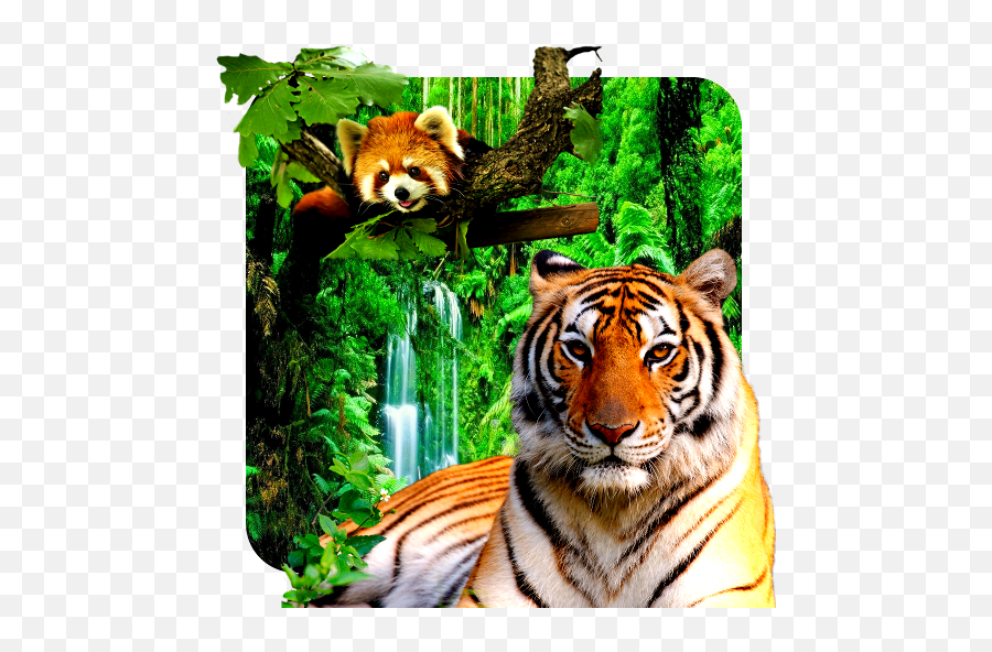3d Animals Parallax Live Wallpaper 100 Apk Download - Com Emoji,Acs Emojis