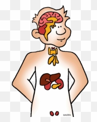 Anatomy Unit Study Materials - Hubpages Emoji,Human Emoticons List Thumbs Up Wow