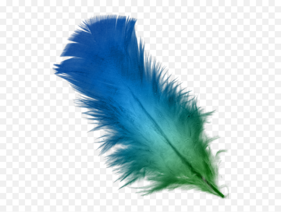 Feather Psd Official Psds Emoji,Feather Quill Emoji