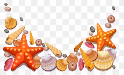 Sea Shells Clipart Png - Sea Shells Vector Png Emoji,Conch Shell Emoji