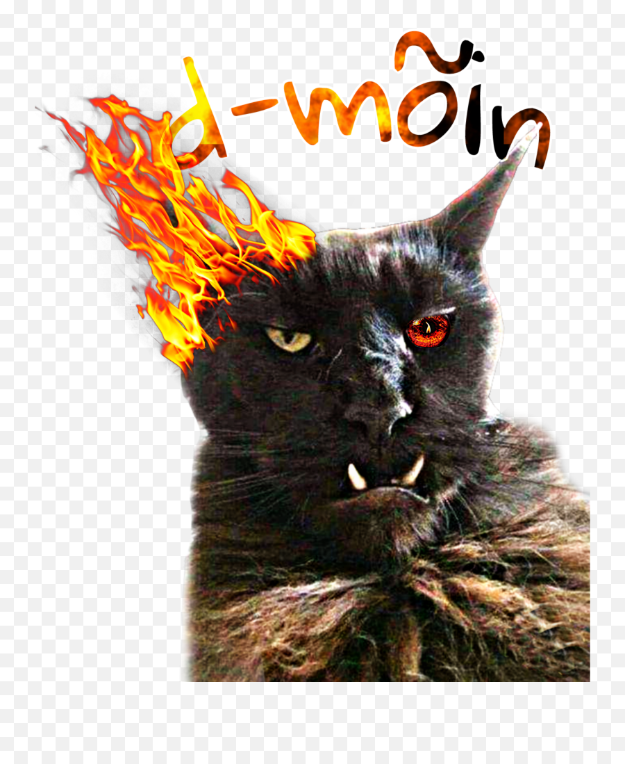 The Most Edited - Orc Cat Emoji,Emoticons Capeta