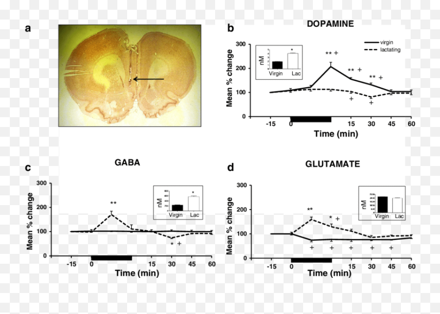 Hplc Measures Of Dopamine Gaba And - Dot Emoji,Dopamine Emotion