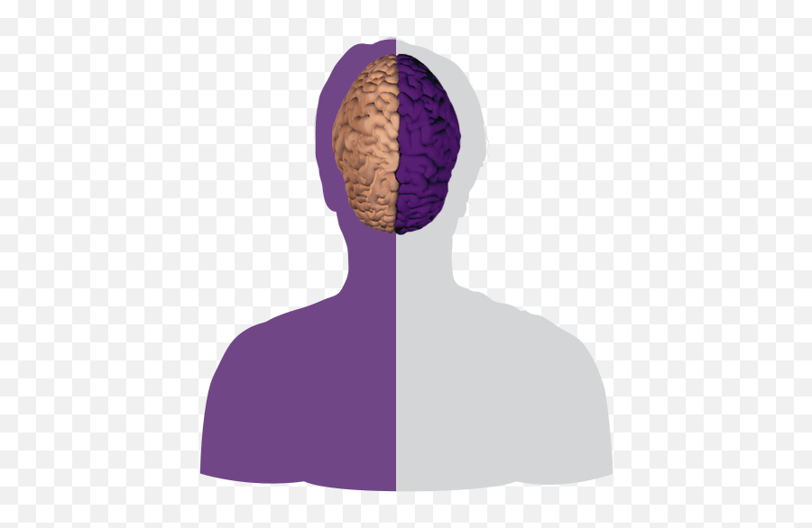 Inside The Brain - Brain Basics Alzheimeru0027s Association Hair Design Emoji,Part Of Brain For Emotion
