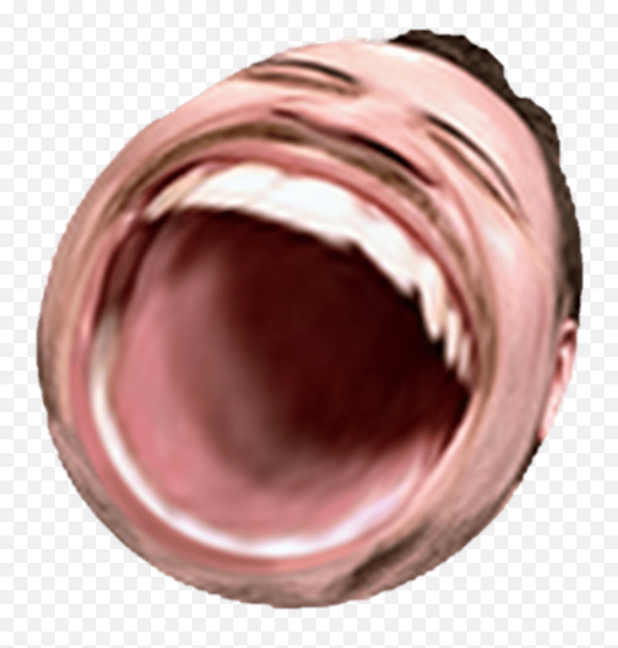 Download Png - Omegalul Twitch Emote Omegalul Png Png Omegalul Emote Transparent Background Emoji,Twitch Emoji