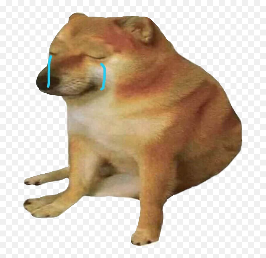 The Most Edited Tristeza Picsart - Meme No Puede Ser Png Emoji,Shib Inu Emoticon