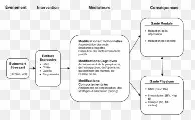 Expressive - Vertical Emoji,Liste Des Differentes Emotions
