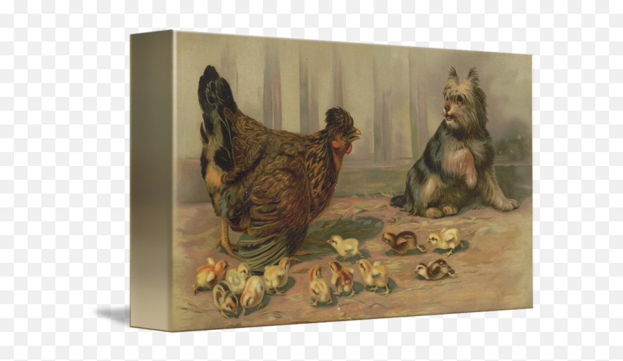Vintage Chicken Farm And A Dog Illustration 1891 By - Vintage Farm Poultry Painting Emoji,Facebook Emotions Chickens
