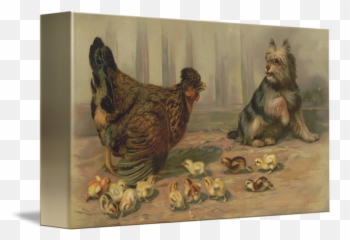 Vintage Chicken Farm And A Dog Illustration 1891 By - Vintage Farm Poultry Painting Emoji,Facebook Emotions Chickens