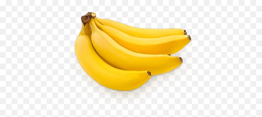 Banana Hd Png Images Download - Yourpngcom Fresh Bananas Emoji,:banana Plant: Emoji