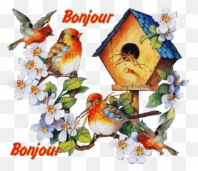 Immagini Di Buona Giornata - Drawing Bird With Nest Emoji,Skype Emoticon Computerrage