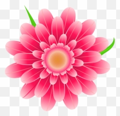 Orchid Clipart Floral Orchid Floral Transparent Free For - Flower Clipart Transparent Emoji,Orchid Emoji