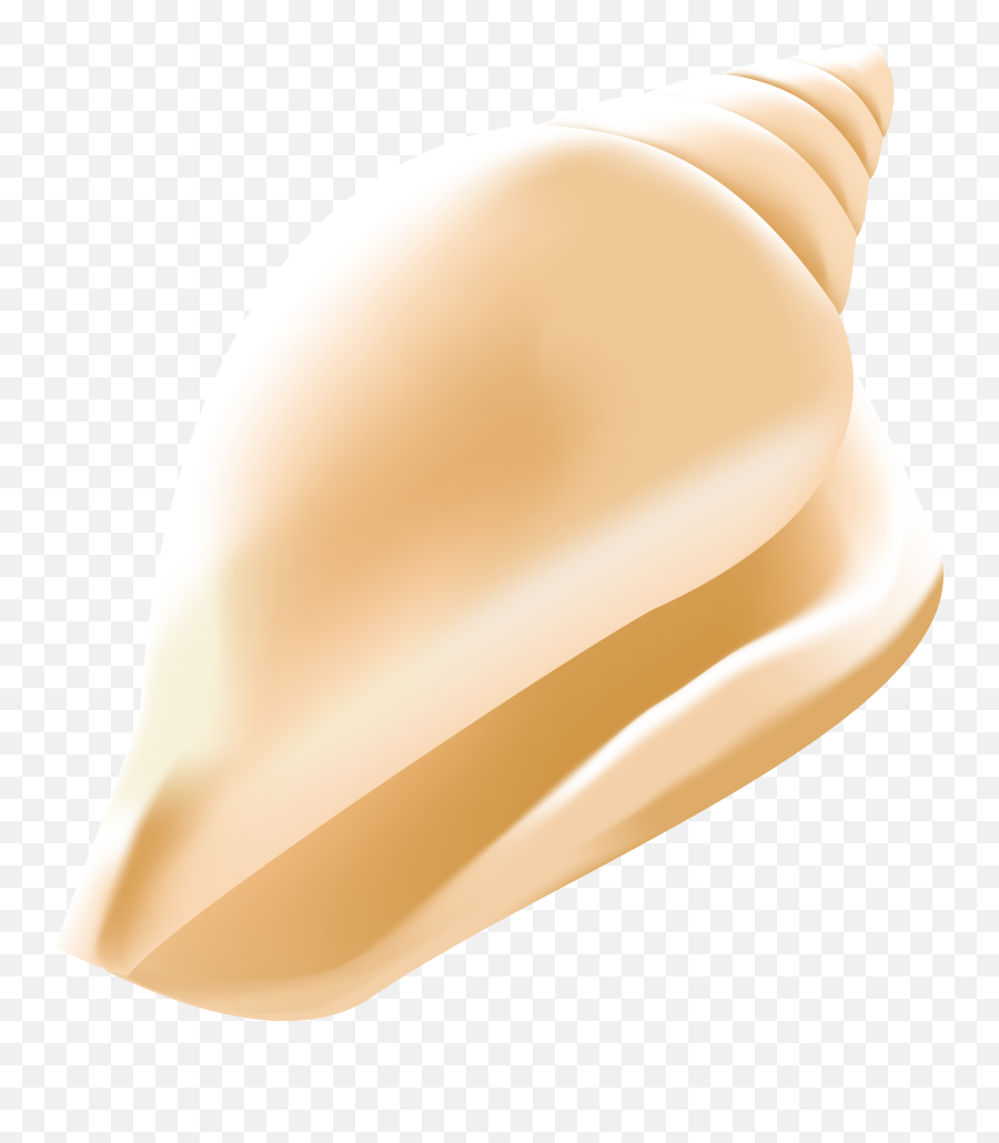 Shell Clipart Conch Shell Conch Emoji,Conch Shell Emoji