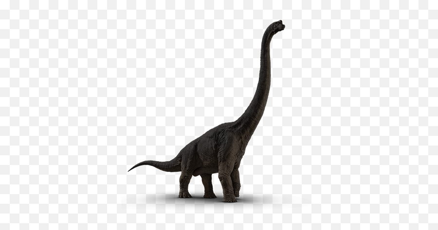 Jurassic World Fallen Kingdom Size - Apatosaurus Jurassic World Png Emoji,Jurassic Park Emoji