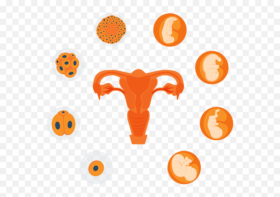 Fertility And Sleep Are They Related Sleep Advisor - Dot Emoji,Wellness Reproductions Emotions