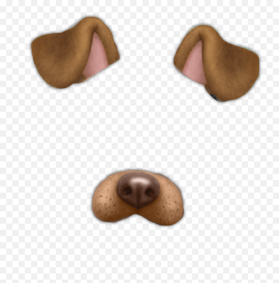 The Most Edited Cachorro Picsart - Snapchat Dog Filter Png Emoji,Emoticons De Cachorro