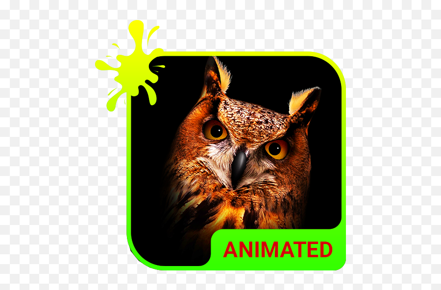 Owl Animated Keyboard Live Wallpaper - Eastern Screech Owl Emoji,Owl Emojis For Android
