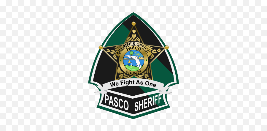 Gtsport Decal Search Engine - Pasco County Office Logo Emoji,Emoji Sheriff