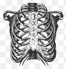 This Is Cool And - Rib Bones Png Emoji,I Am A Oman Not A Princess I Have Emotions