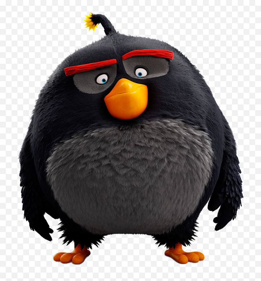 Download Angry Birds Images Bomb Hd Wallpaper And Background - Movie Angry Birds Characters Emoji,Bomb Emoji Png