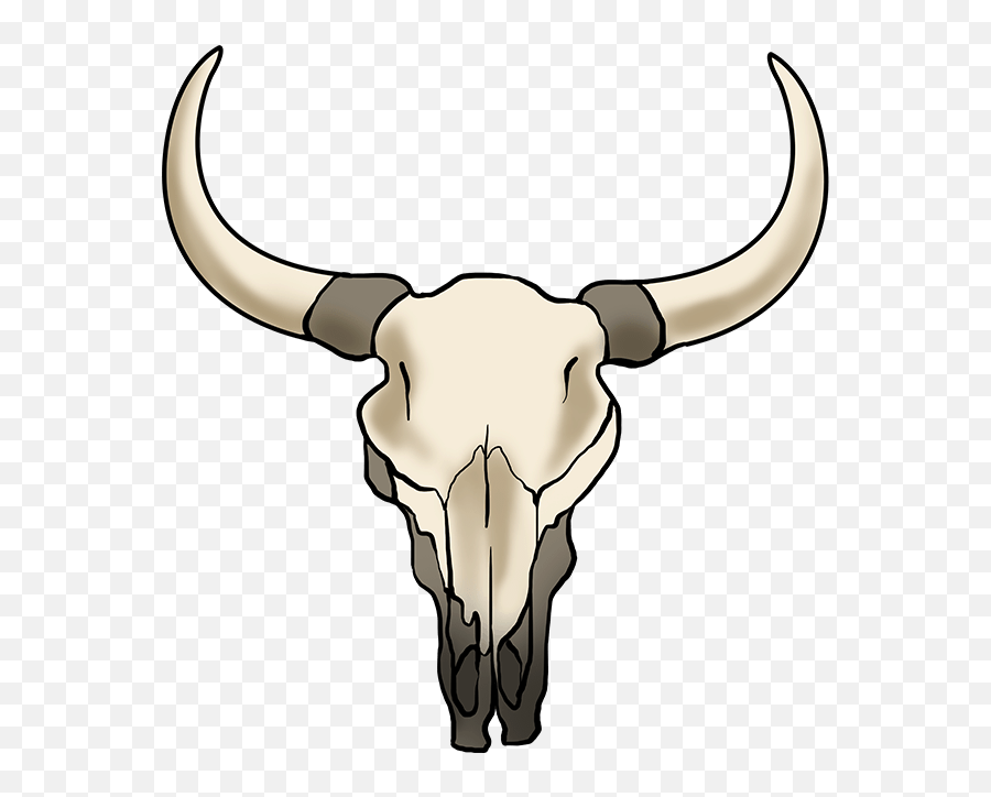 How To Draw A Bull Skull - Step Simple Bull Skull Drawing Emoji,Skull Unicorn Emoji