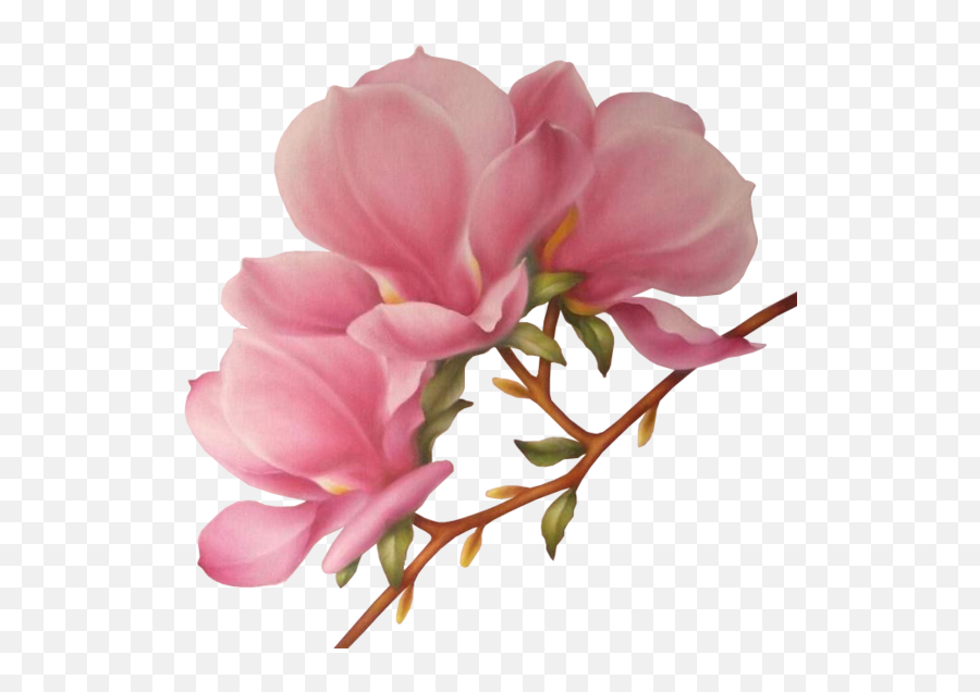 Flower Art Art Flowers Vintage Emoji,Magnolia Emoji