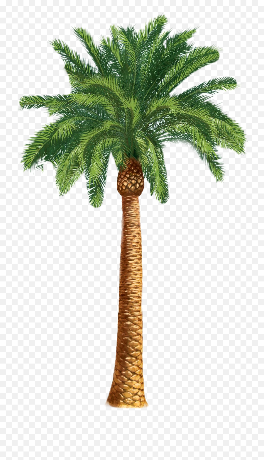 Palm Tree Sticker Challenge On Picsart - Royal West African Frontier Force Badge Emoji,Colorful Palm Trees With Emojis
