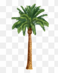 Palm Tree Sticker Challenge On Picsart - Royal West African Frontier Force Badge Emoji,Colorful Palm Trees With Emojis