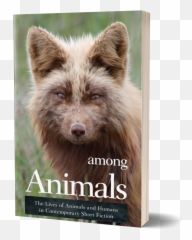 The Lives Of Animals And - Picture Frame Emoji,Animals Emotions