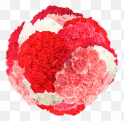 Globalrose Why Give Strangers Flowers On Valentines Day Emoji,Valentines Day Emotions