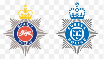 Expressions Of Interest - Fasttrack Detective Development Emoji,Emotion Detectives Uncover
