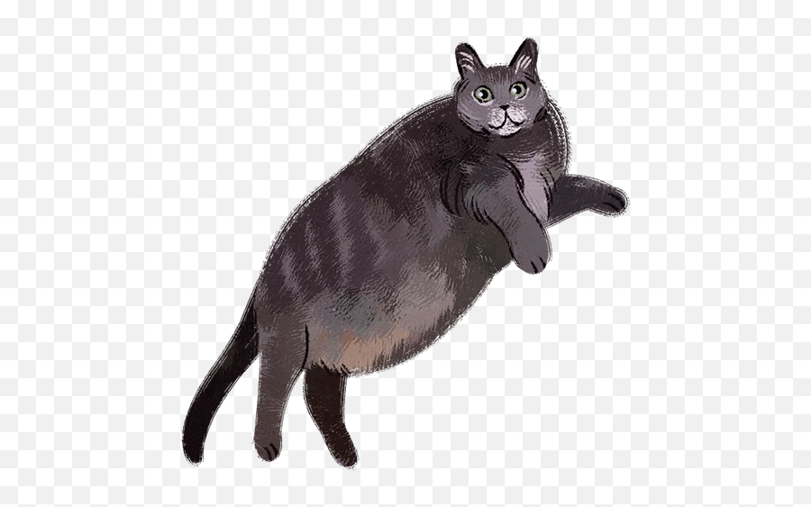 Telegram Sticker From Filkit Pack Emoji,Cat Laying Down Emoji