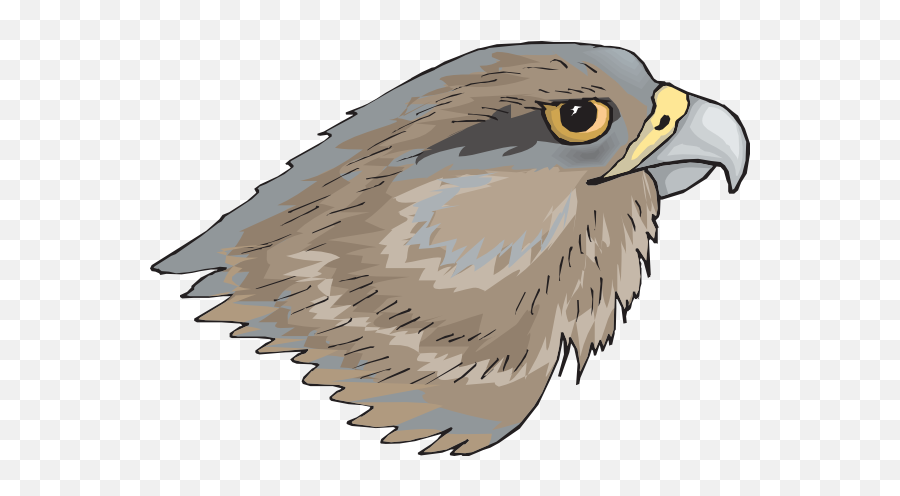 Free Hawk Clipart The Cliparts 2 - Peregrine Falcon Clipart Head Emoji,Hawk Emoji