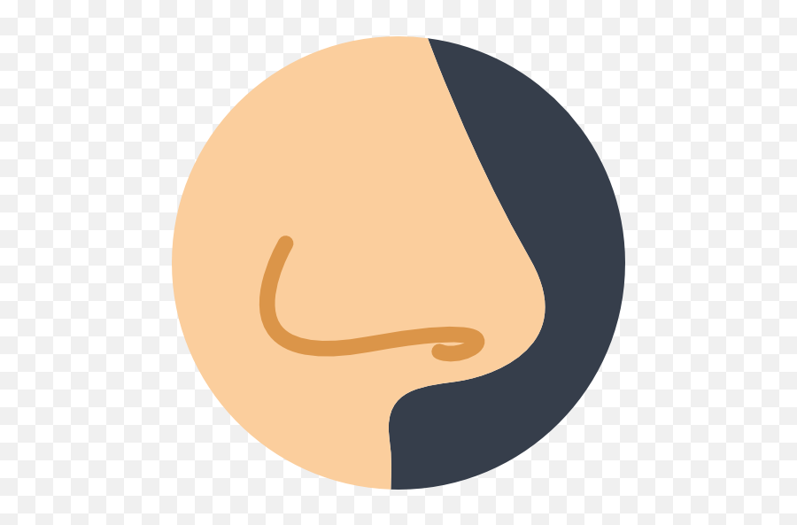 Face Nose Smell Noses Medical Body Parts Icon - Nose Icon Png Emoji,Nose Smiley Emoticon
