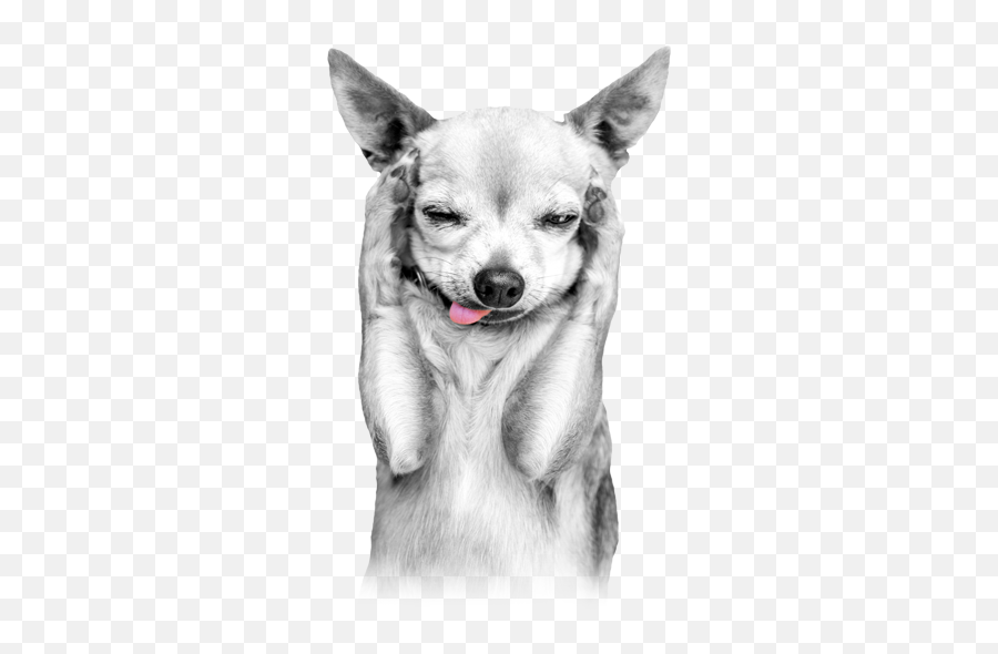 Index Of Skinfrontendfortiscustomimages - Chihuahua Mugshot Emoji,Raspberry Emoji Vape