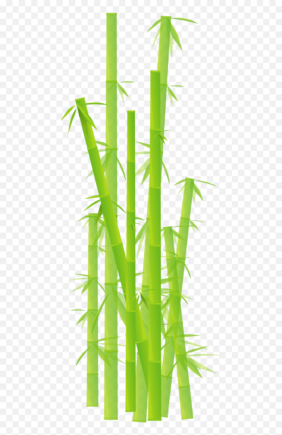 Bamboo Tree Background Hd - Transparent Background Clipart Bamboo Transparent Emoji,Bamboo Emoji