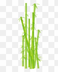 Bamboo Tree Background Hd - Transparent Background Clipart Bamboo Transparent Emoji,Bamboo Emoji