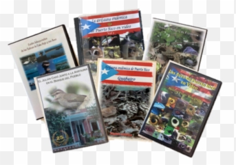 2019 U2013 Page 2 U2013 Birdscaribbean - Book Cover Emoji,Schubert Book Emotions