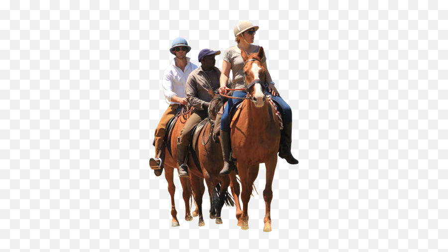 Horse Trail Ride Png U0026 Free Horse Trail Ridepng Transparent - Horse Ride Png Emoji,Horses Emoticon