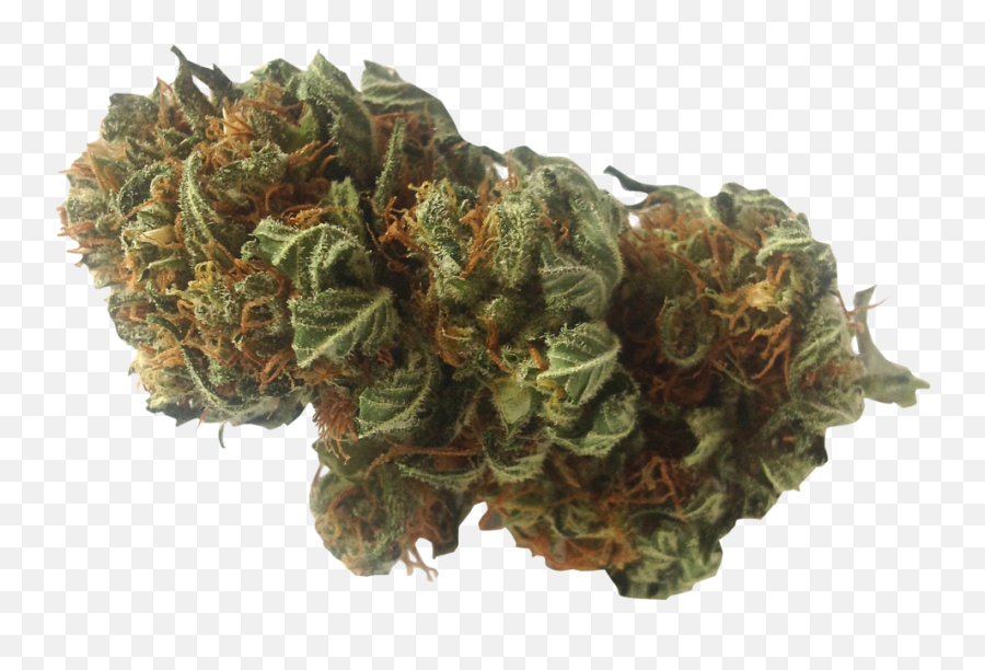 Marijuana Psd Official Psds - Marijuana Png Transparent Emoji,Marjuana Emoji