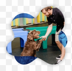 Professional Dog Training In Columbus Ohio Reale Dog Training - Animal Training Emoji,Love Emotion Human Animals