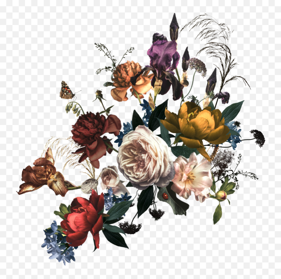 Wedding Portfolio Virginia Wedding And Portrait - Floral Emoji,Background On The Emotions Flowers Album