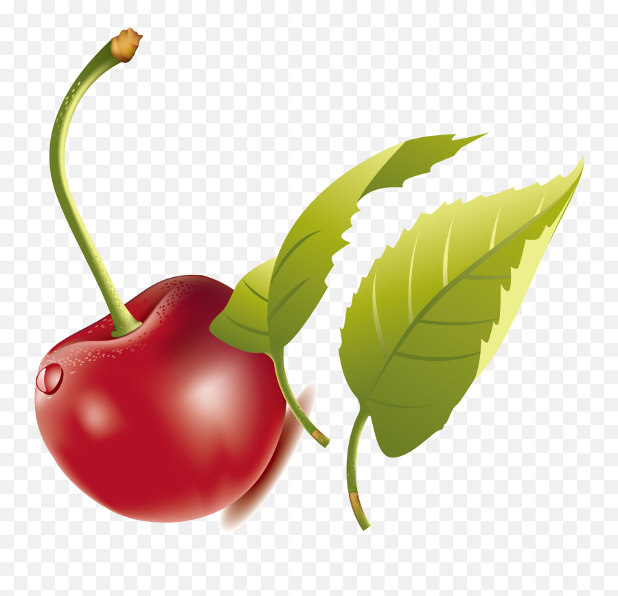 Green Leaves Clipart Cherry Leaf - Green Leaves And Red Fruit Emoji,Picture Of A Cherry Emoji