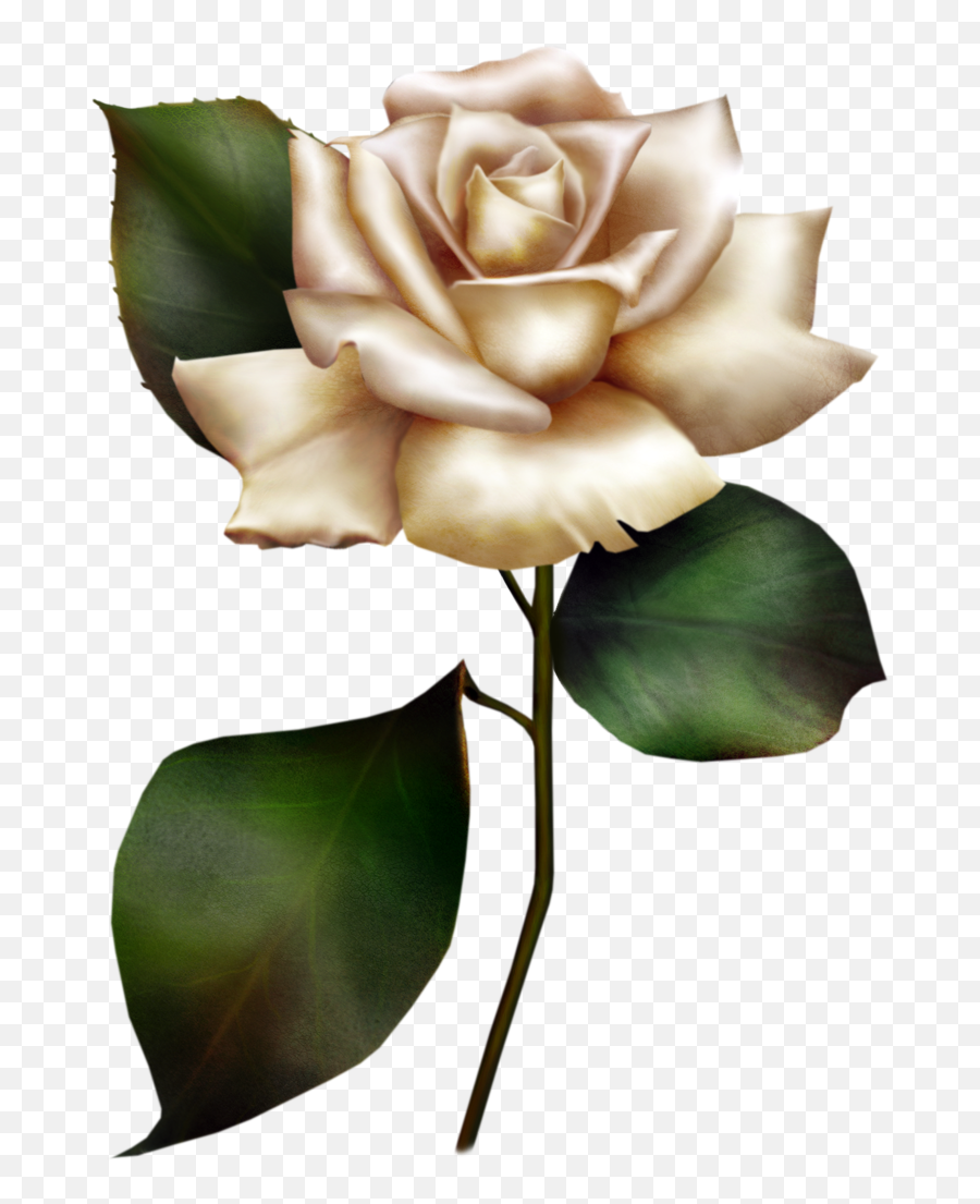 Free Yellow Rose Png Download Free Clip Art Free Clip Art - White Rose In Cartoon Emoji,Yellow Rose Emoji