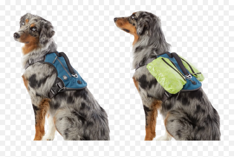 Holiday Gift Guide For Dogs And Dog Lovers - All Pet Voices Emoji,Australian Shepherd Emotions