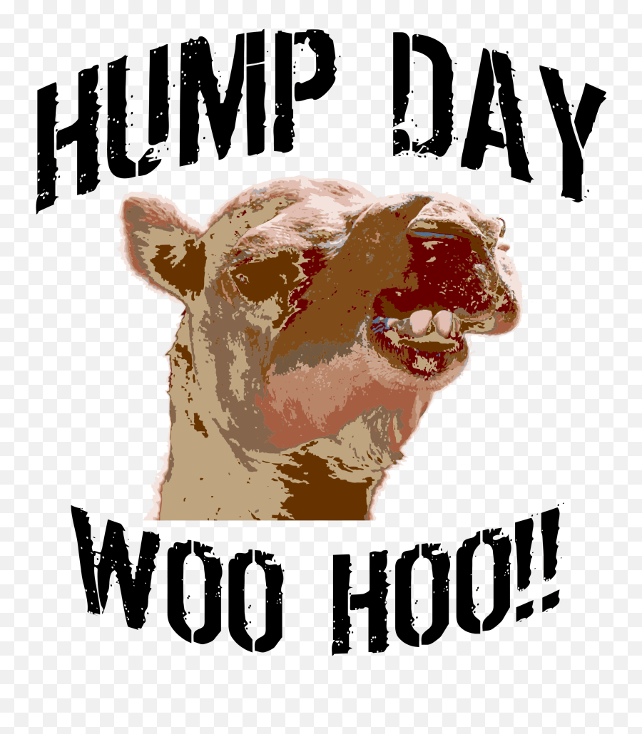 Hump Day T - Shirts U0026 Clothing Hump Day Tshirts U0026 Clothing Emoji,Hump Emoji