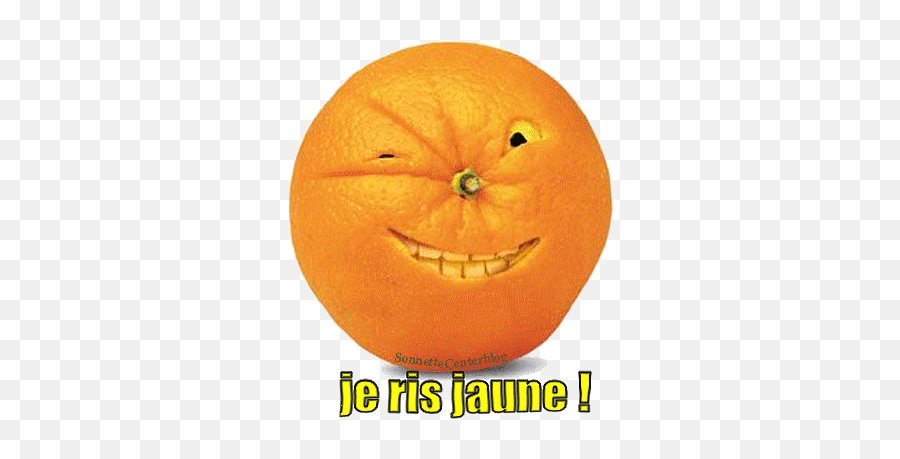 Top Gulus Stickers For Android U0026 Ios Gfycat - Rire Jaune Gif Animé Emoji,Tangerine Emoji