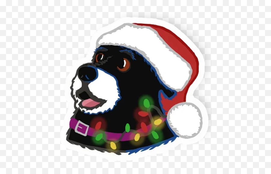 New Years Telegram Stickers - For Holiday Emoji,Bernese Mountain Dog Emoji