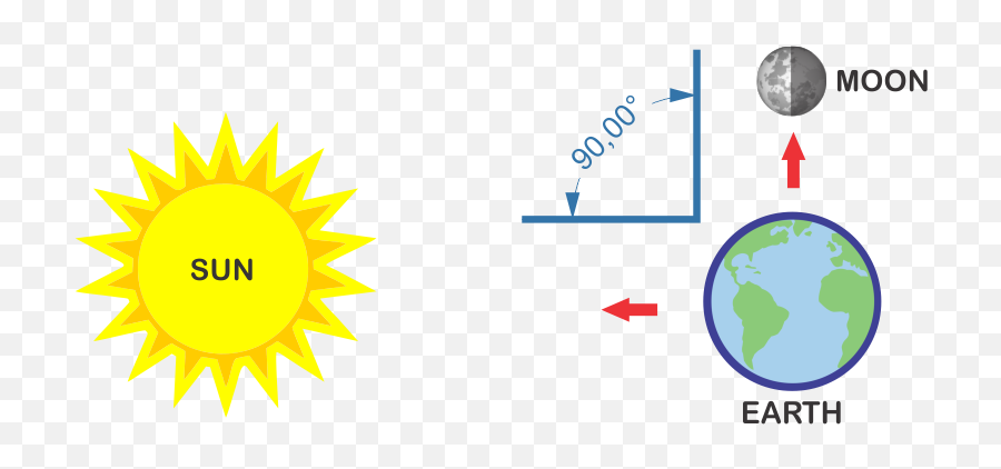 Download Neap Tide Explained - Complementary Relationship Between Cellular Respiration And Photosynthesis Emoji,Trippy Emoji